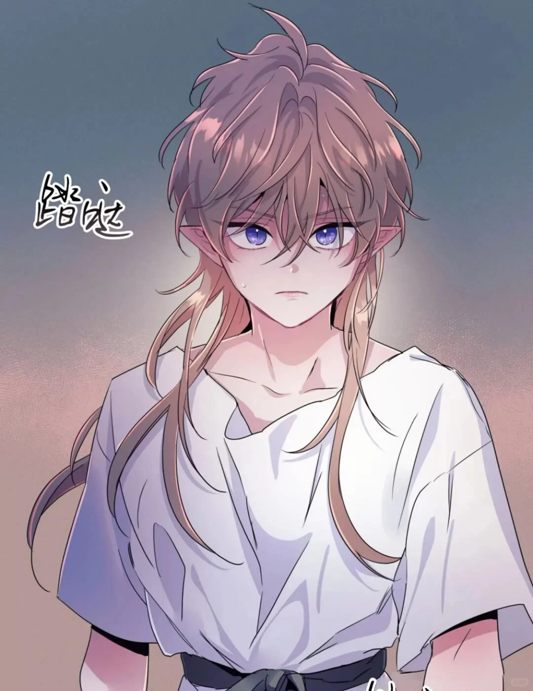 巨好用的ios看漫AP