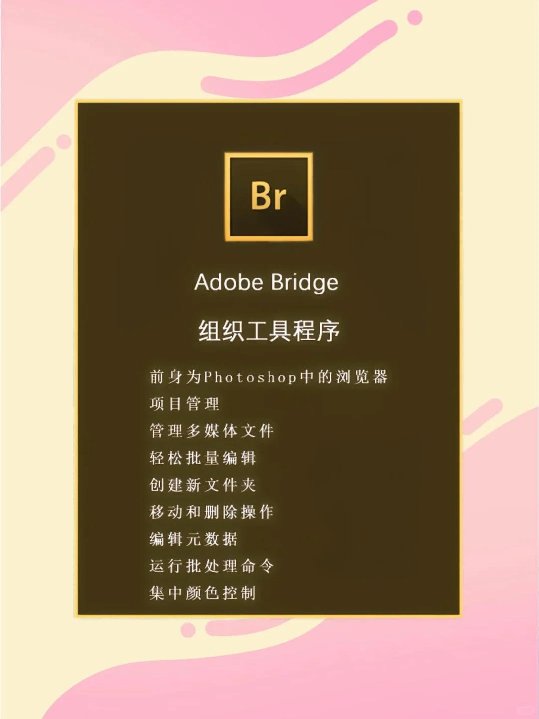 Adobe全家桶2025【5月】一键安装版