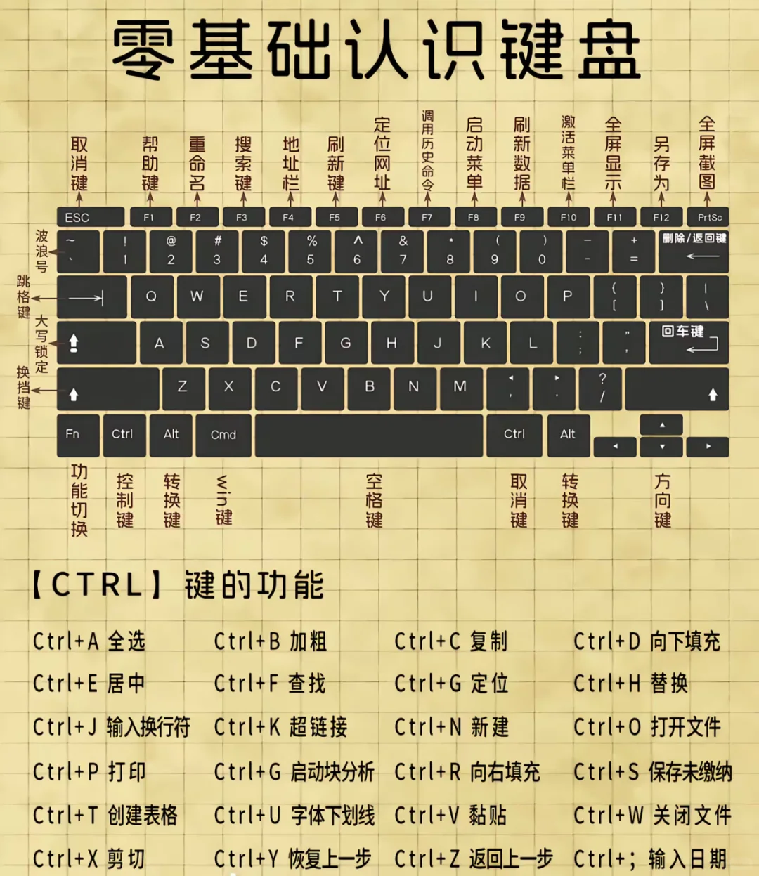 零基础解锁电脑键盘用法和Word快捷键