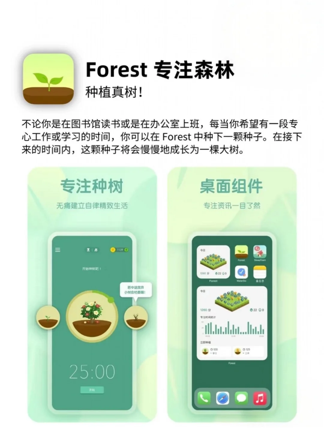 iPhone里最好用的6个App！让我偷偷变强逆袭