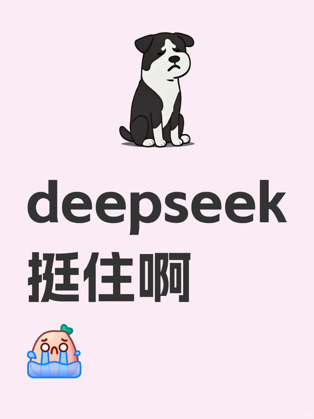 特别好的软件，就是太卡了