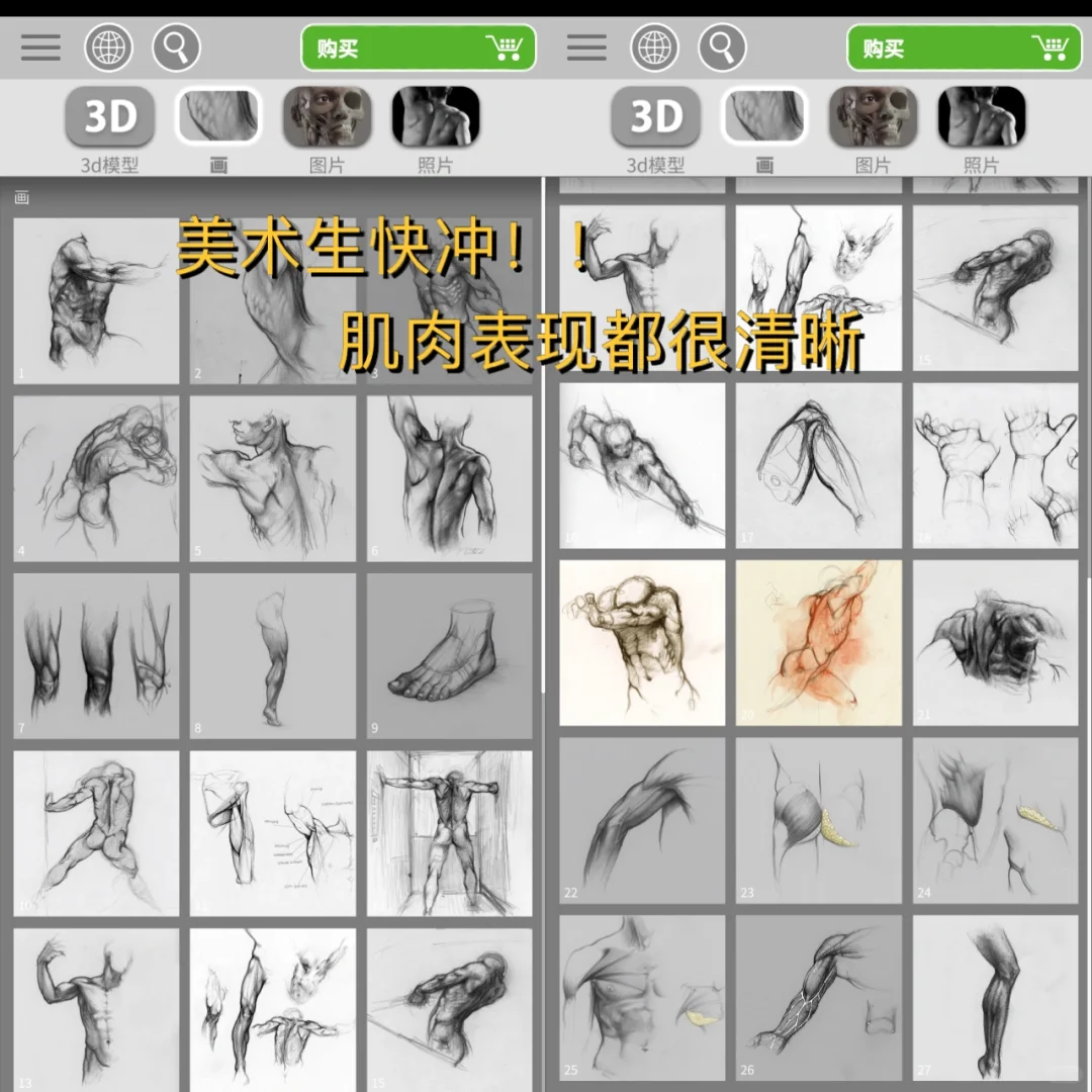 iOS也有放在手机里的3D解剖‼️艺术生也很🉑️