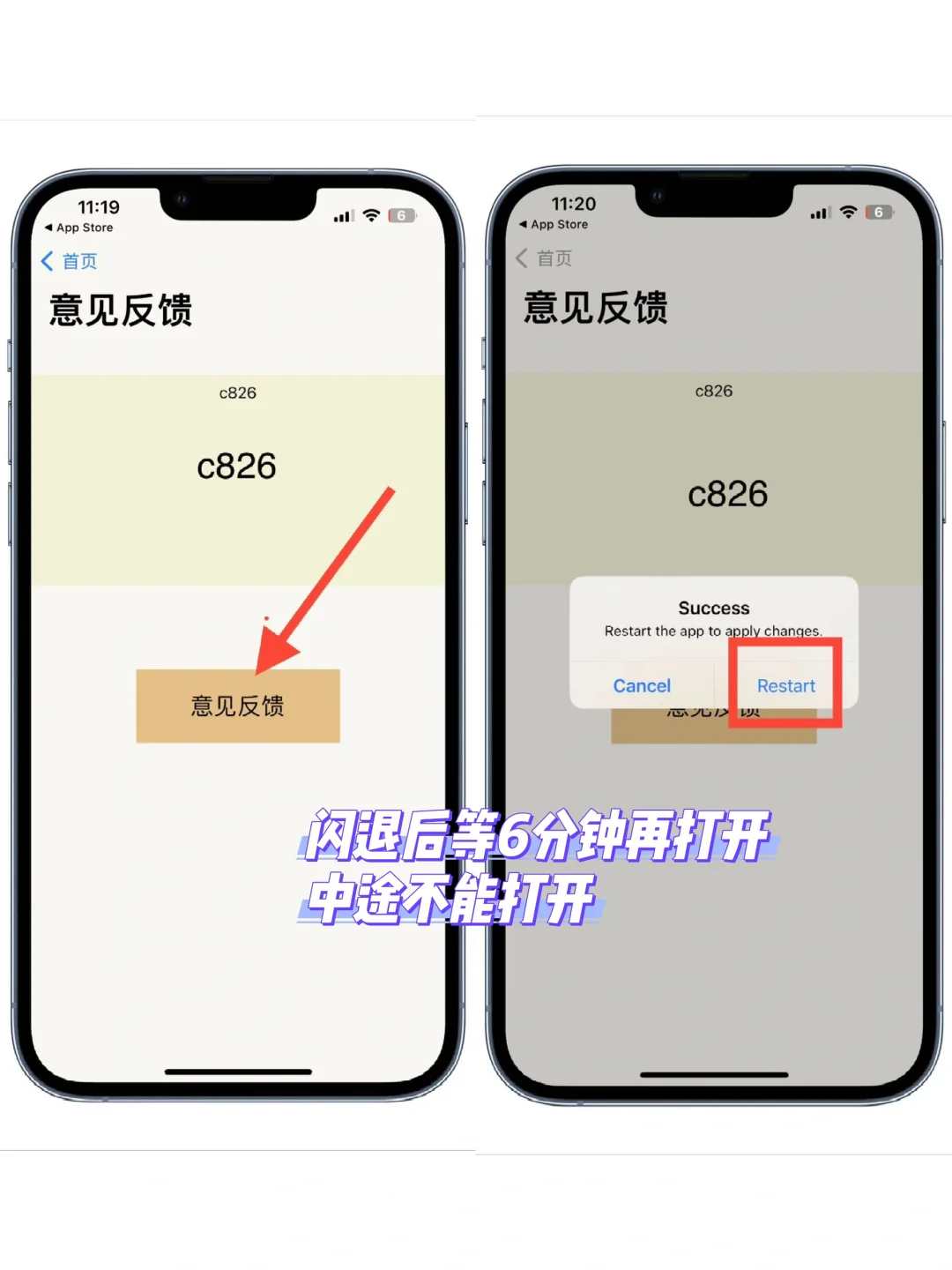 宠物便便｜🈚️广4k
