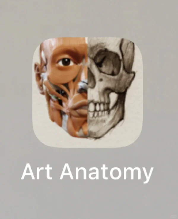 iOS也有放在手机里的3D解剖‼️艺术生也很🉑️