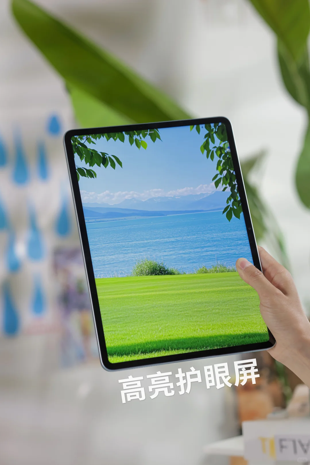 安卓平板体验｜1个平板能应付5+日常需求吗