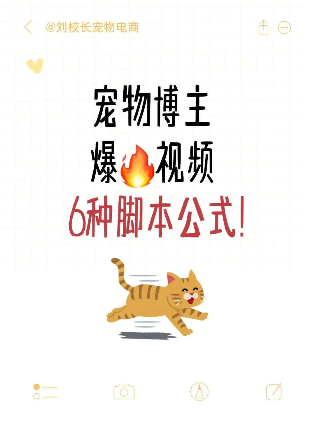 宠物博主6种脚本公式，让你的小眼睛bao涨