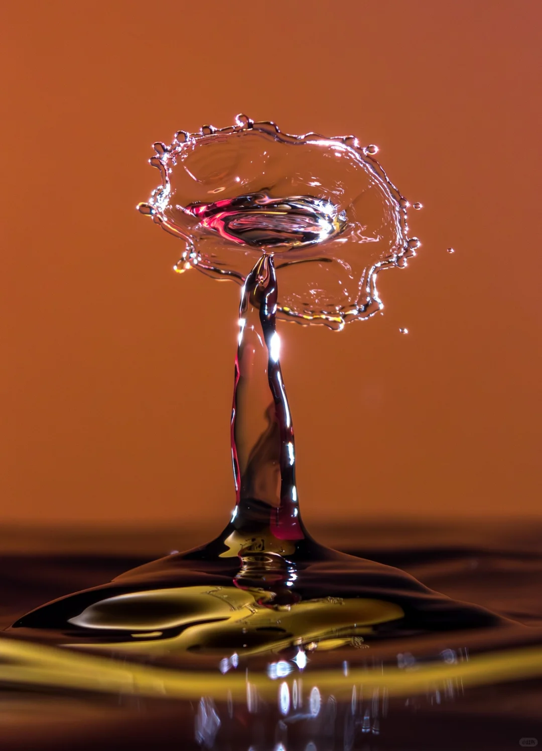 宇宙图像厂的新软件｜iPhone拍照重生？