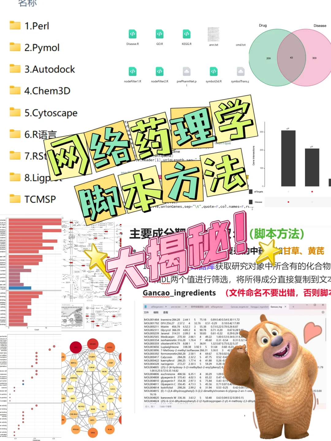 网药有这些脚本合集？③分钟学会就能做！