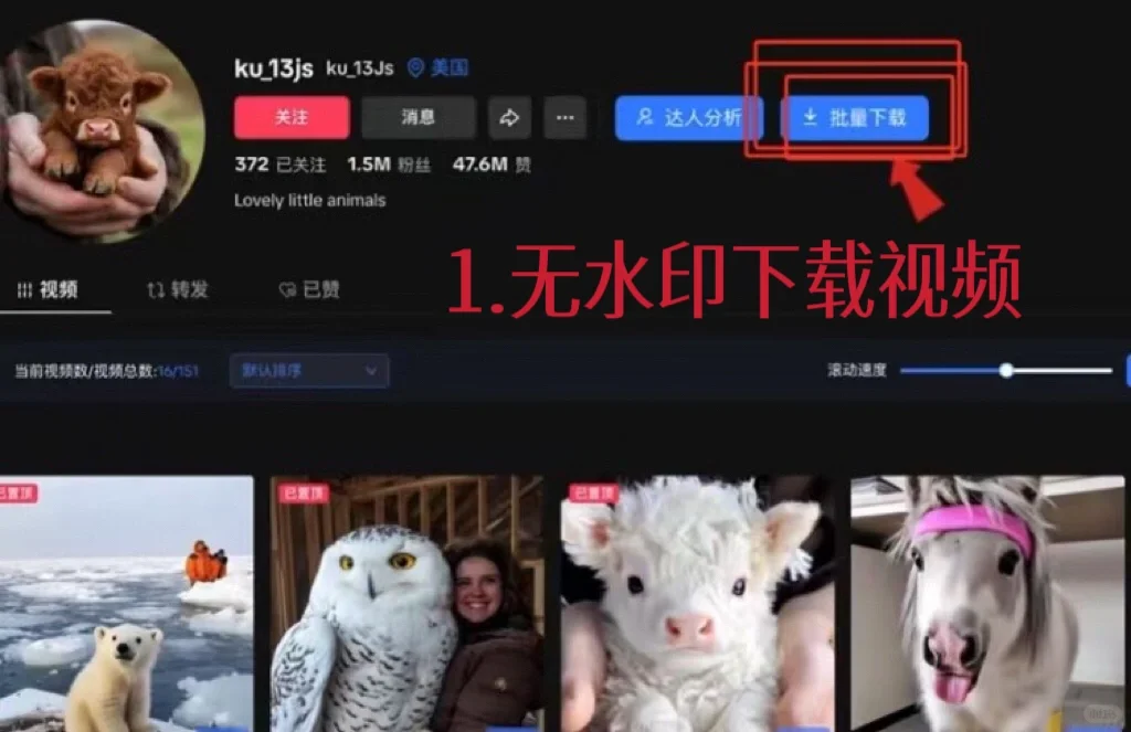 这个是我用过最好的TikTok插件‼️