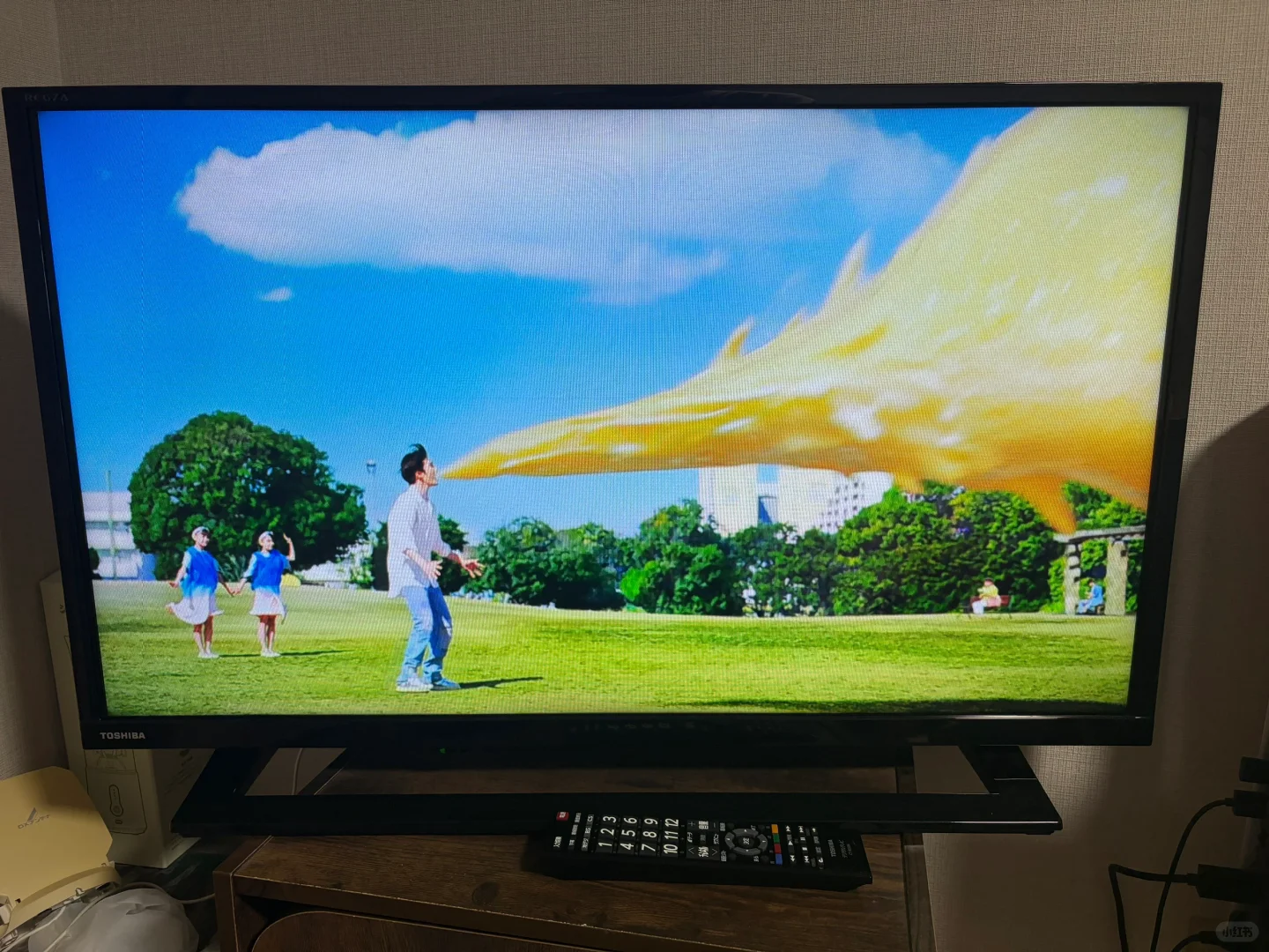 东京出电视机，仅支持自提