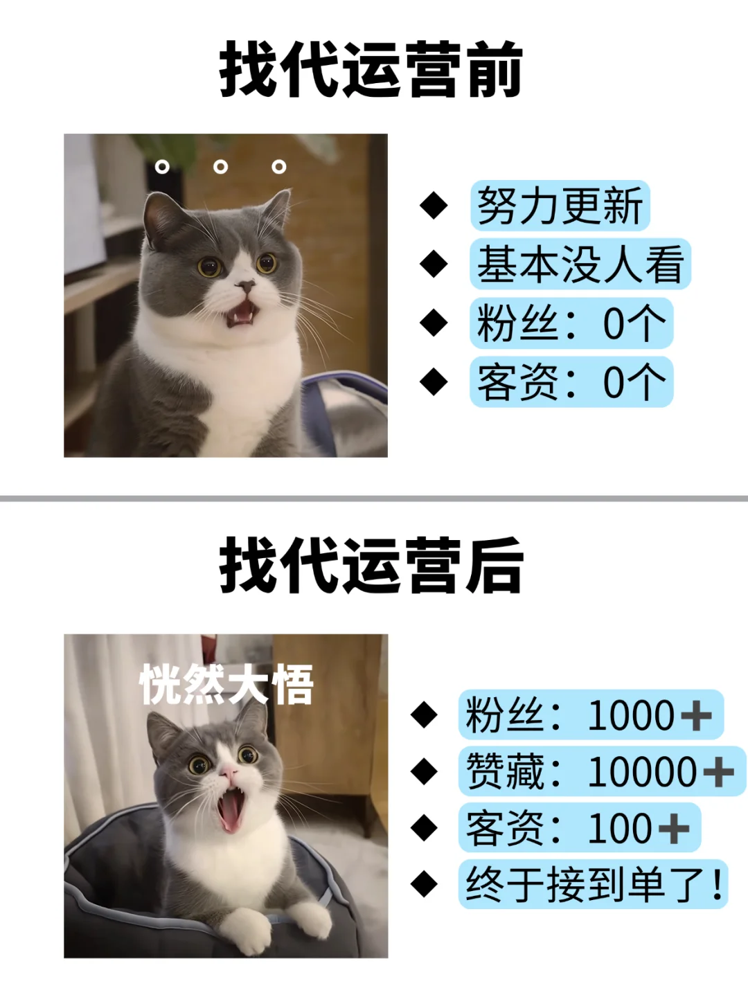 没想到找了小红书代运营之后，效果这么好！