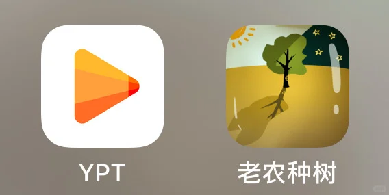 考研中两个好用的爱pp