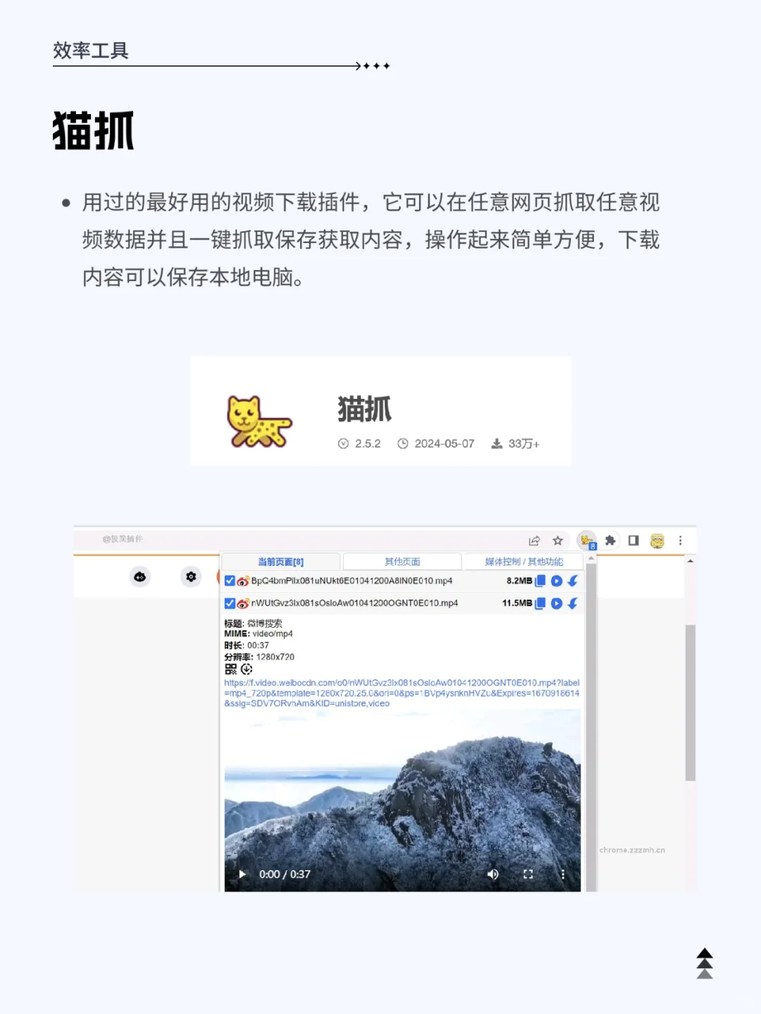 提高效率 ｜ 职场打工人宝藏插件集合✅‼️