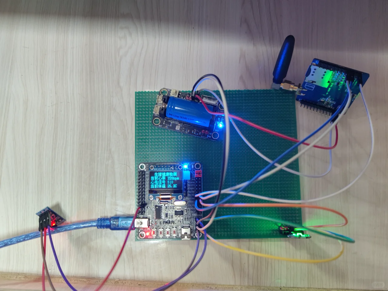 项目源码与文档下载