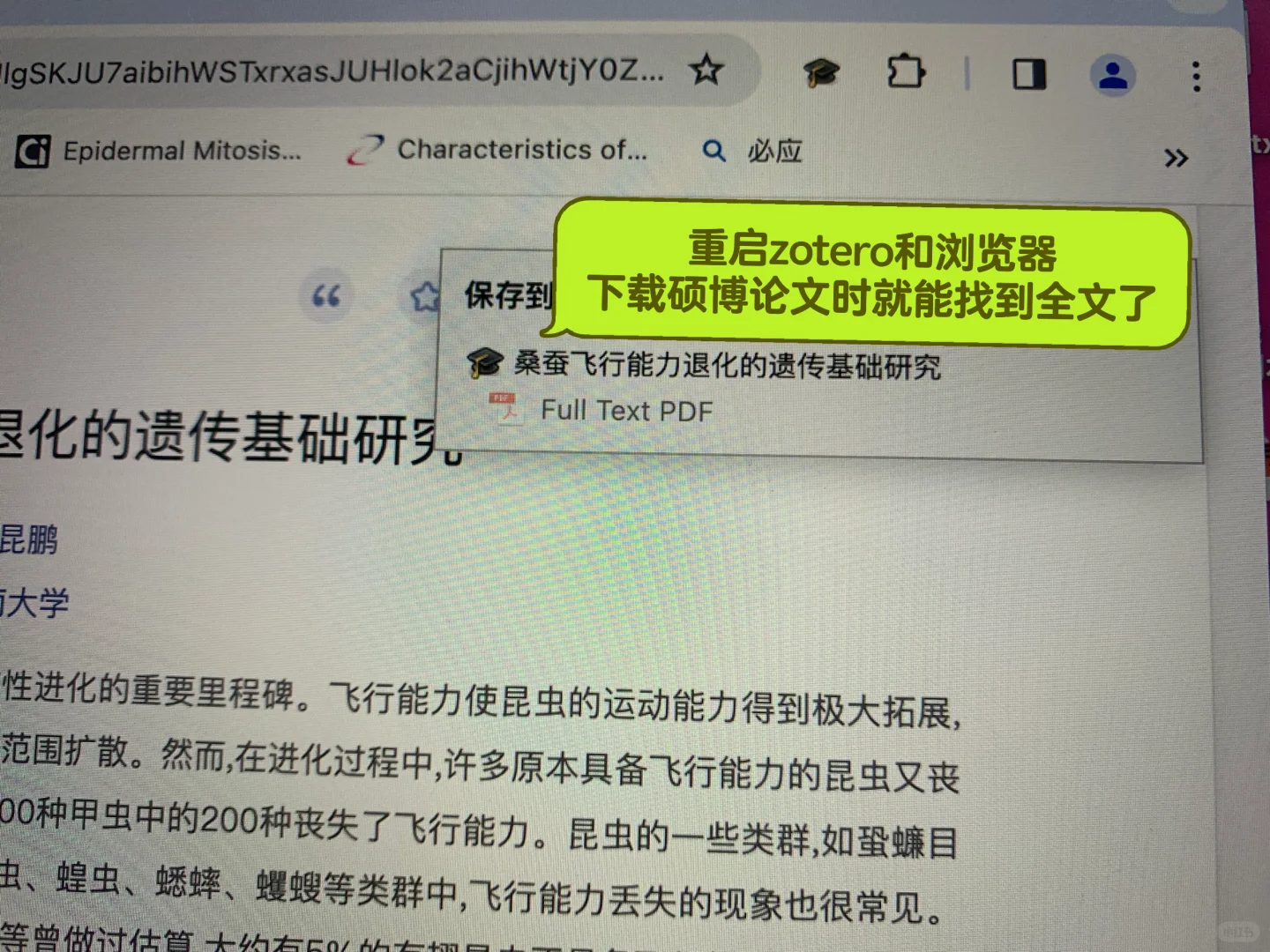 zotero茉莉花插件无法抓取知网中的pdf