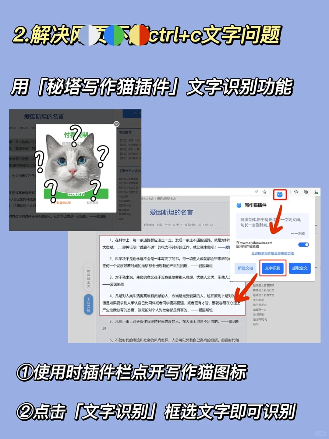 秘塔写作猫还能这么用？隐藏功能快get起来
