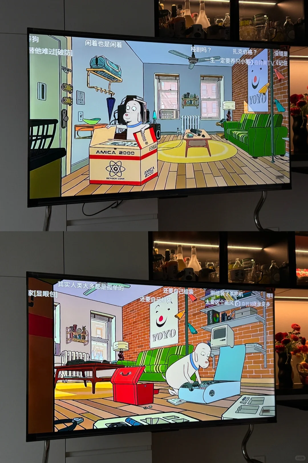 低成本 大快乐的“家庭氛围感影院”我先冲了