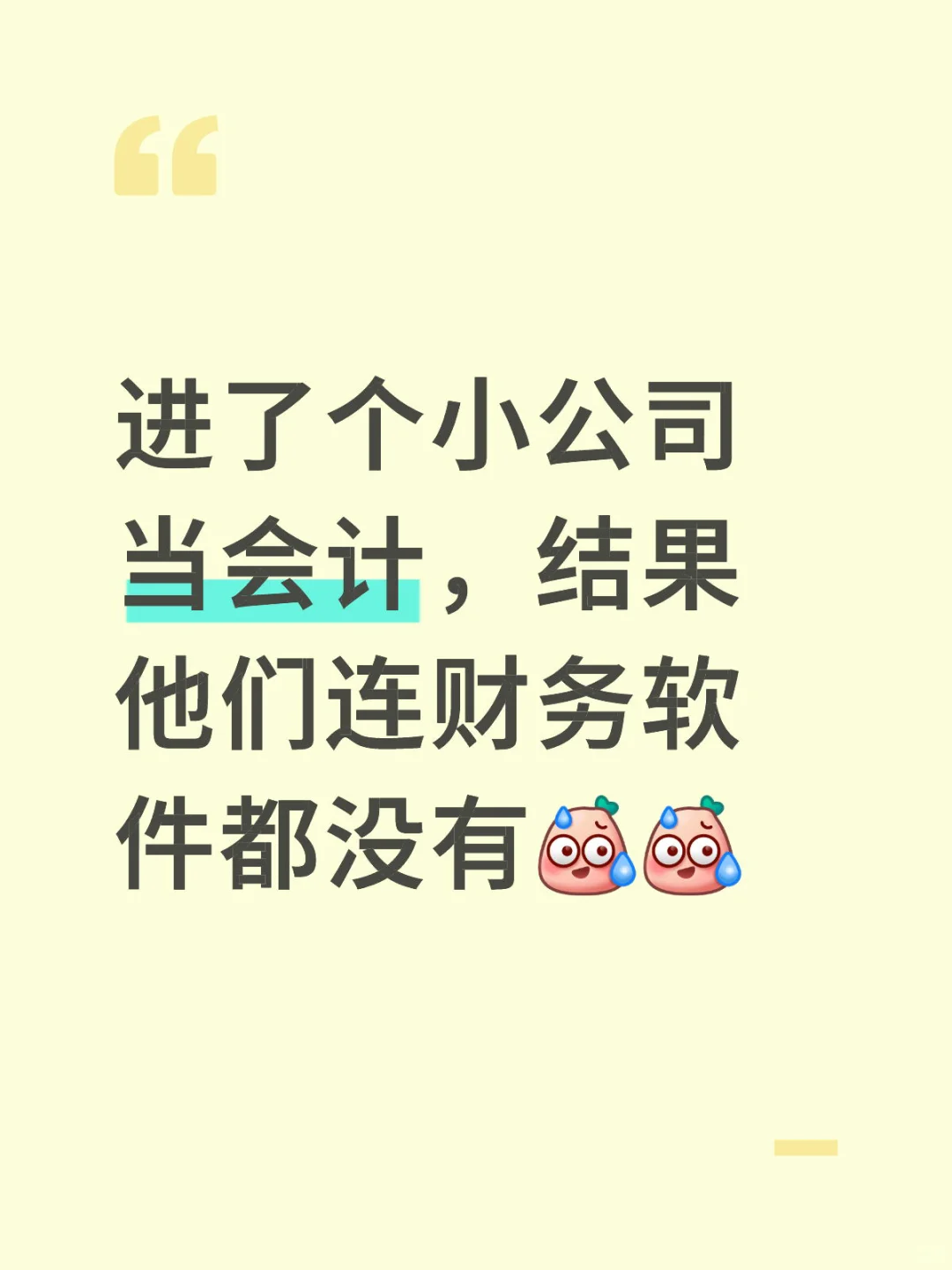 进了一个小公司当会计，没有财务软件...