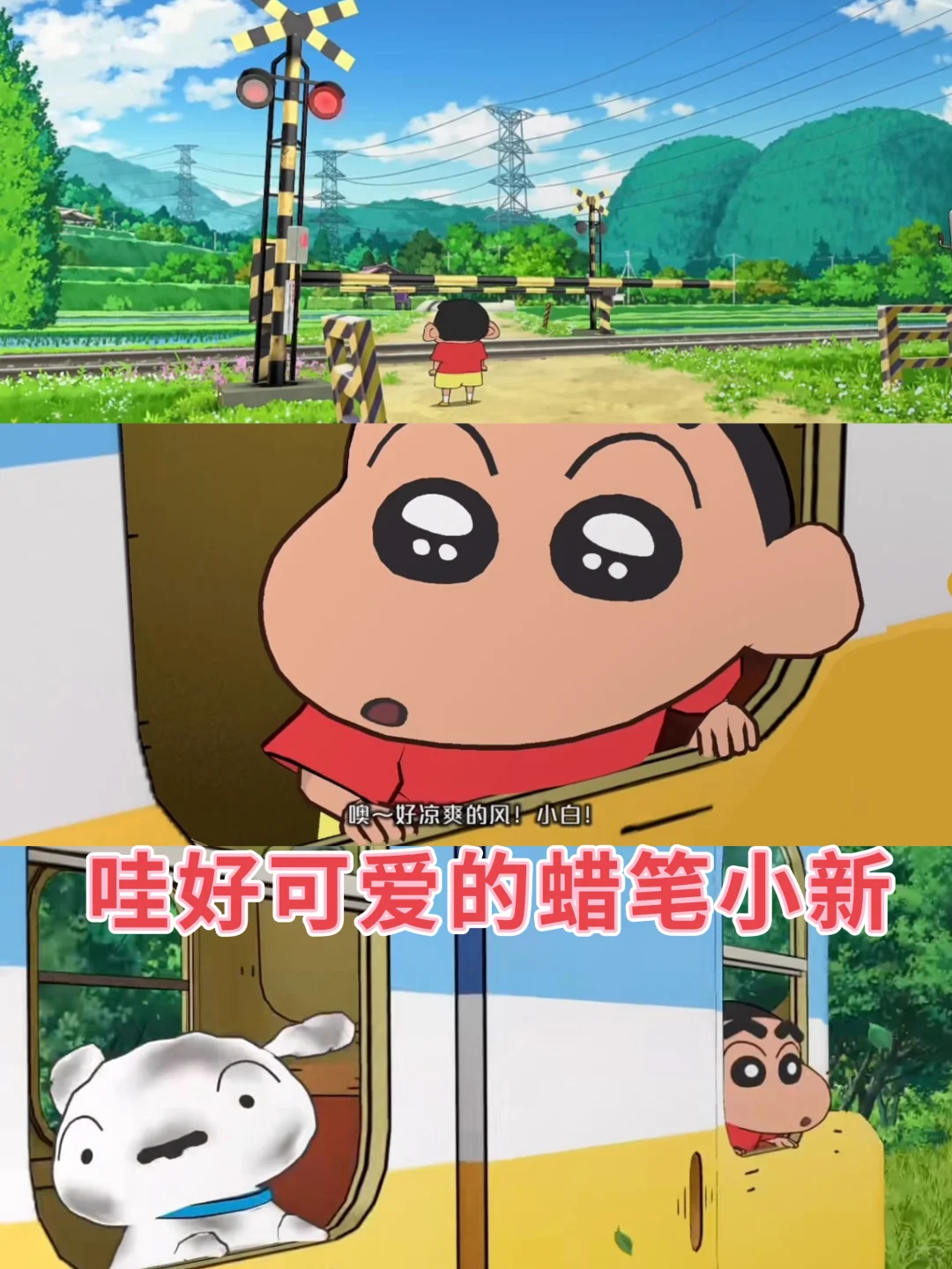 蜡笔小新煤炭镇的小白🐶苹果安卓下载教程‼️