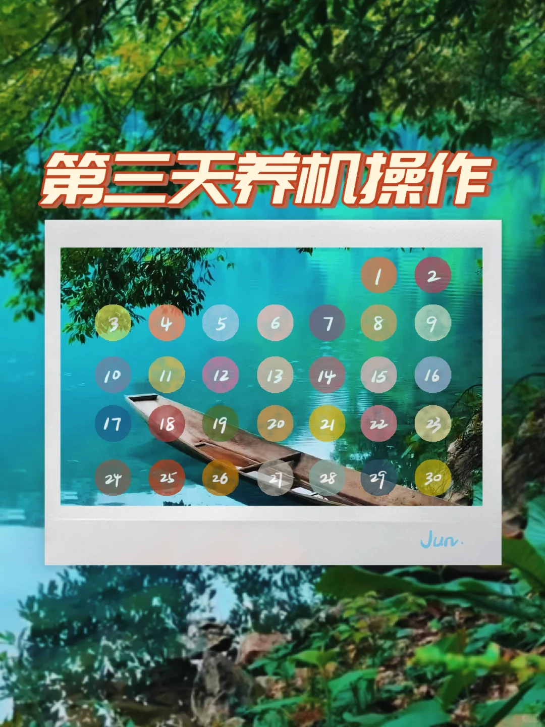 5月31日第三天养机