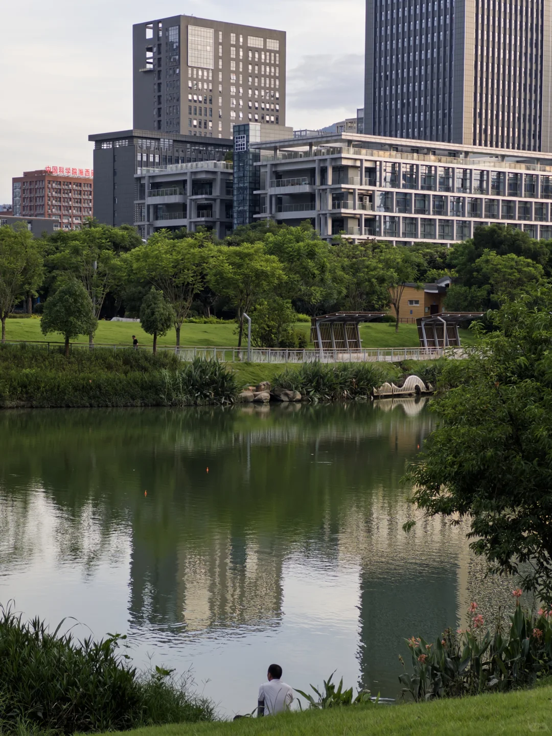 𝘼𝙙𝙤𝙗𝙚新出了手机拍照𝘼𝙋𝙋📱有被惊艳