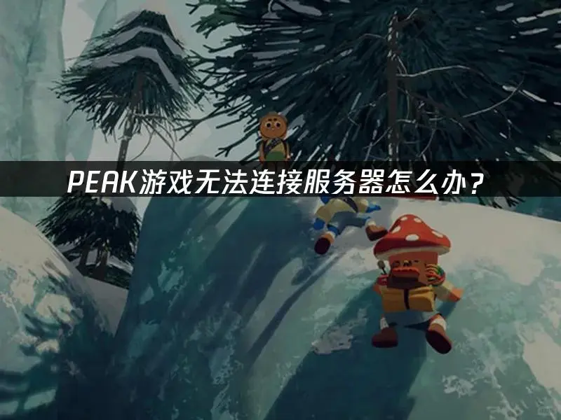 PEAK游戏连不上服务器？这几招帮你秒解决！