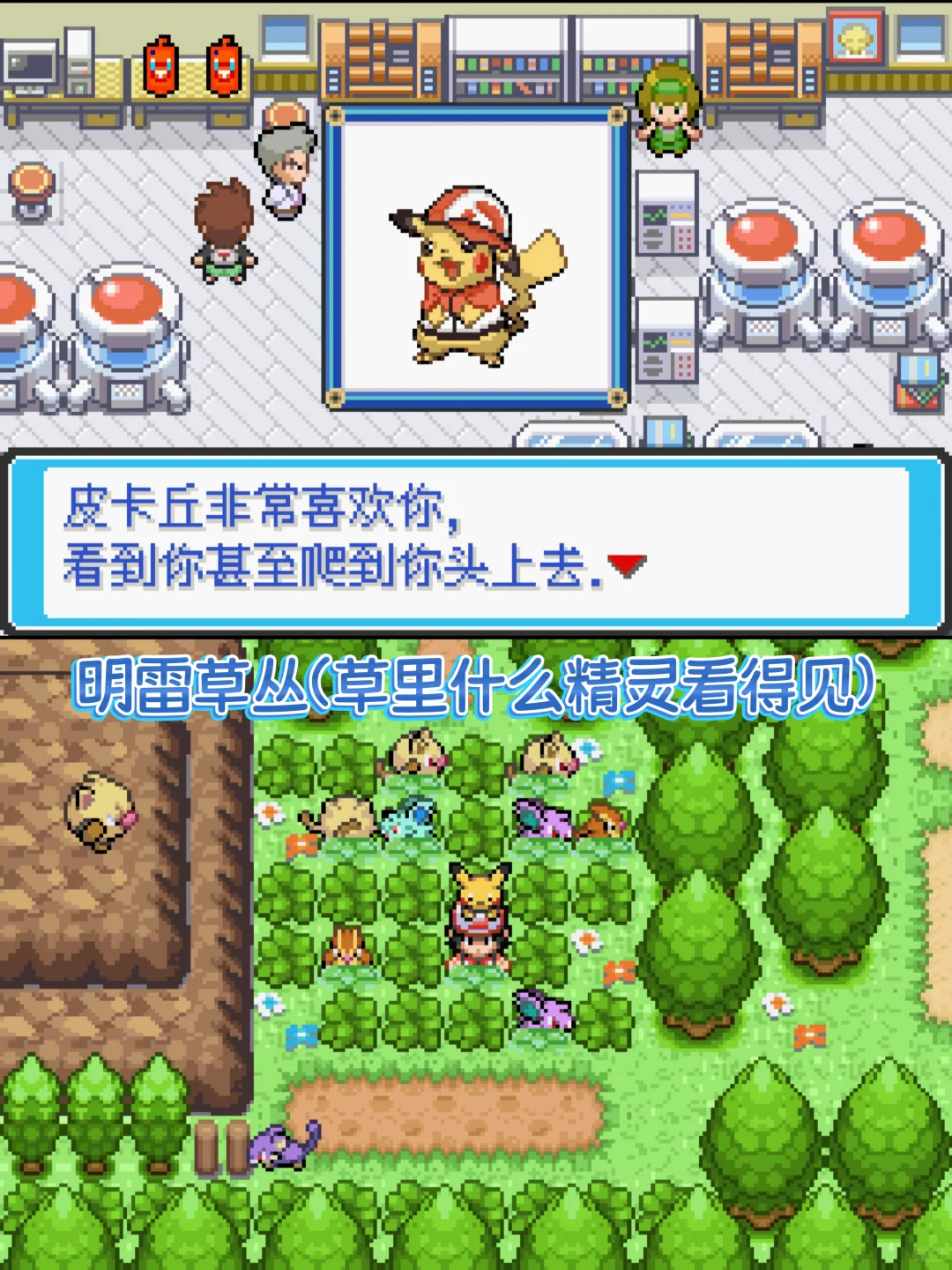 这波更新麻了!去皮已覆盖至九世代宝可梦!