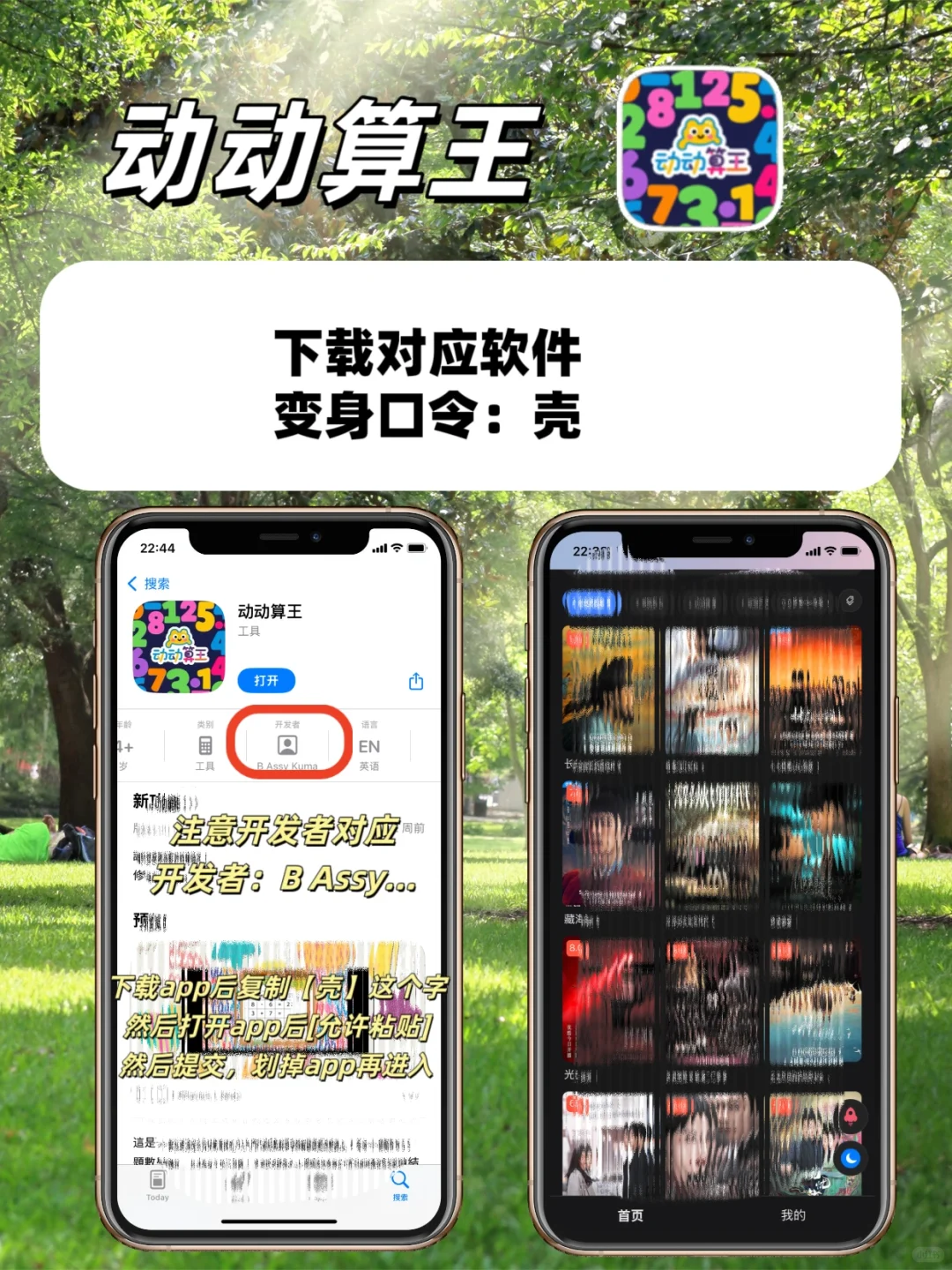 皓月追剧系列/小众追剧AP分享