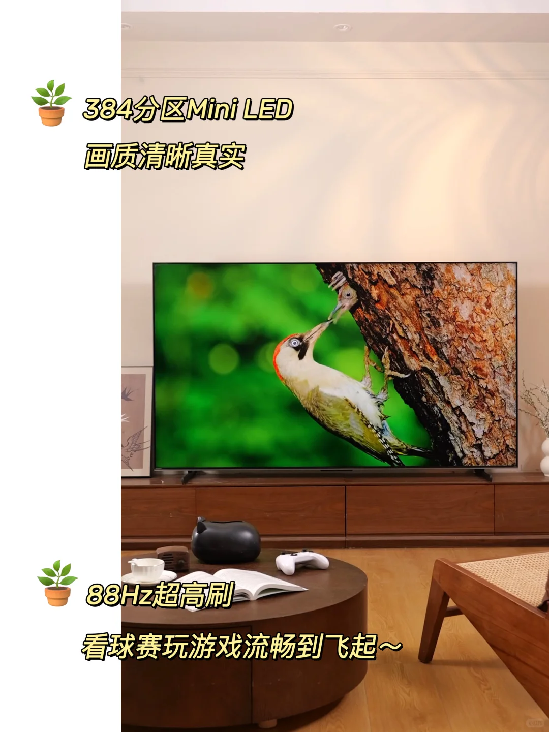 替大家试过了，这款电视真的不反光！