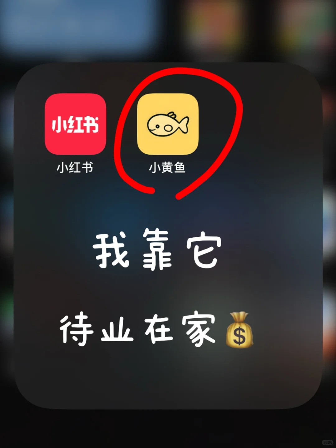 有手就行！我用它做自媒体太方便了😭