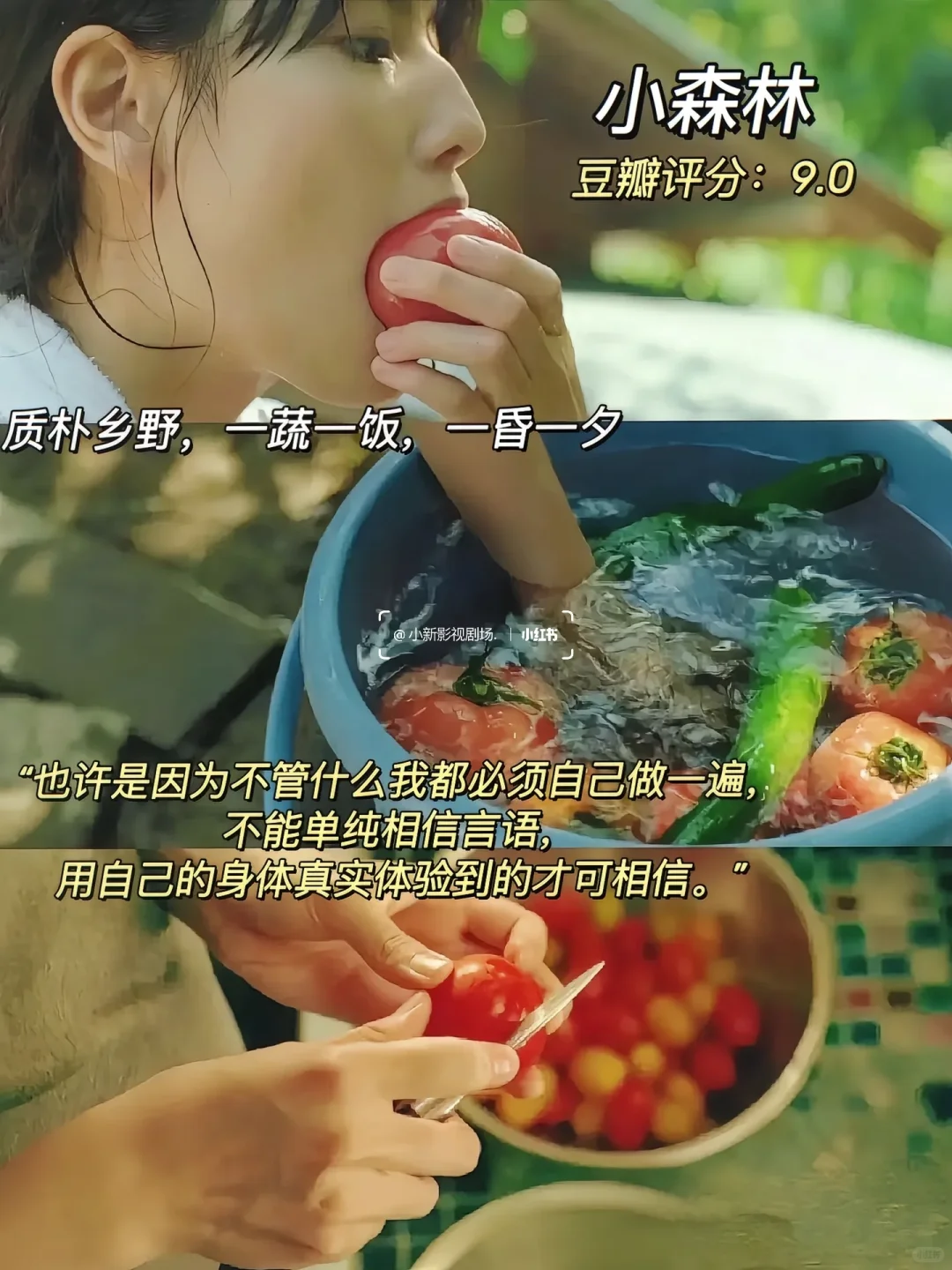 精神内耗自救！10部治愈神片清单✨