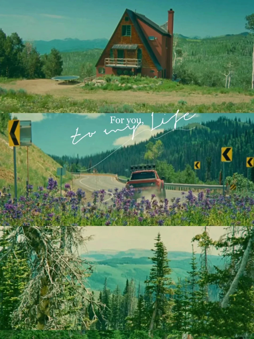 绝了❗️这部电影不愧是高分❗️