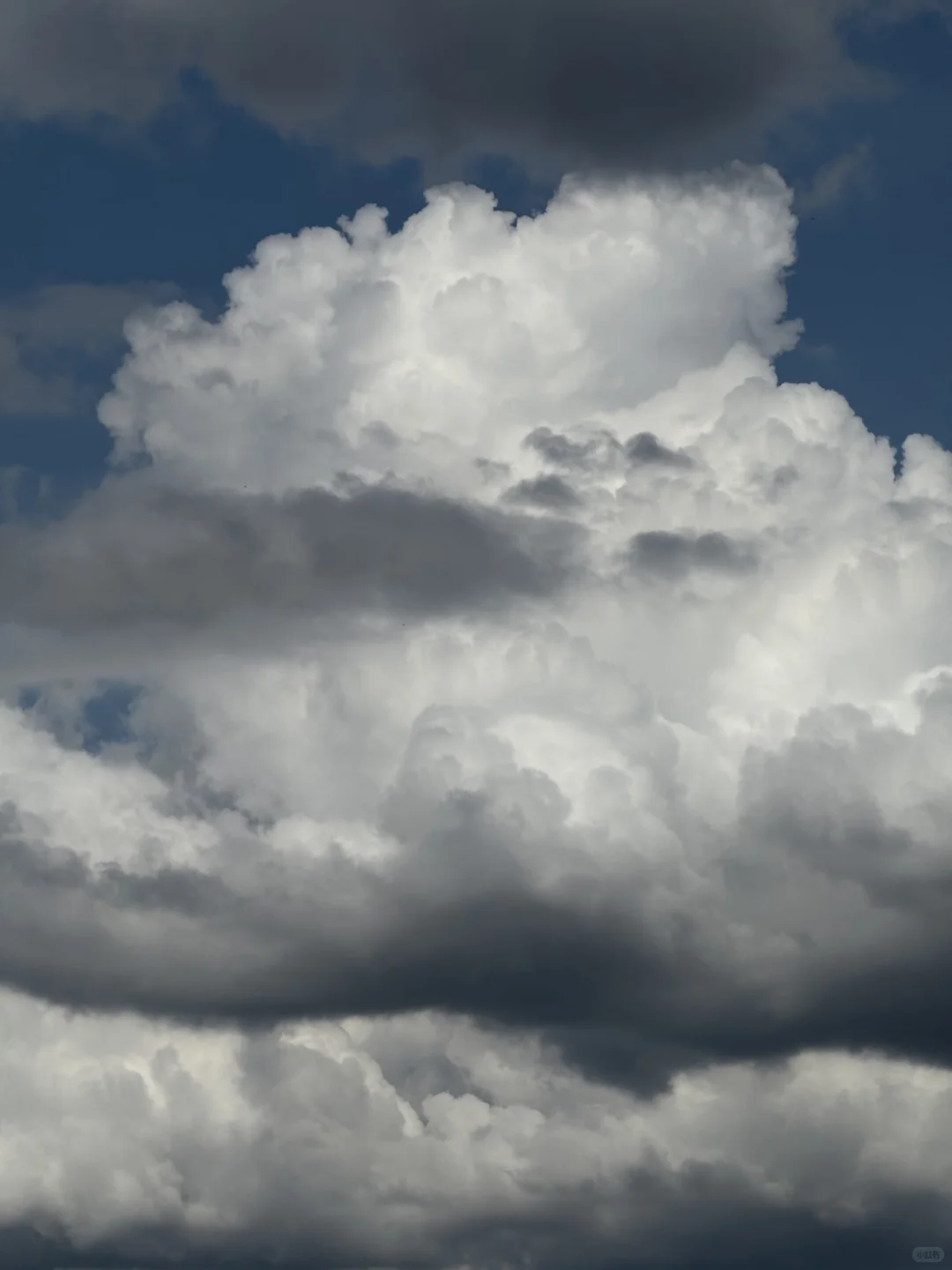 终于有人知道 iPhone 不会做相机了😭