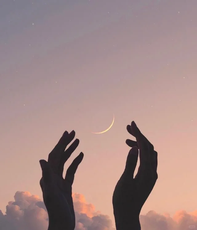 有一说一，阁楼的咨询师好专业啊