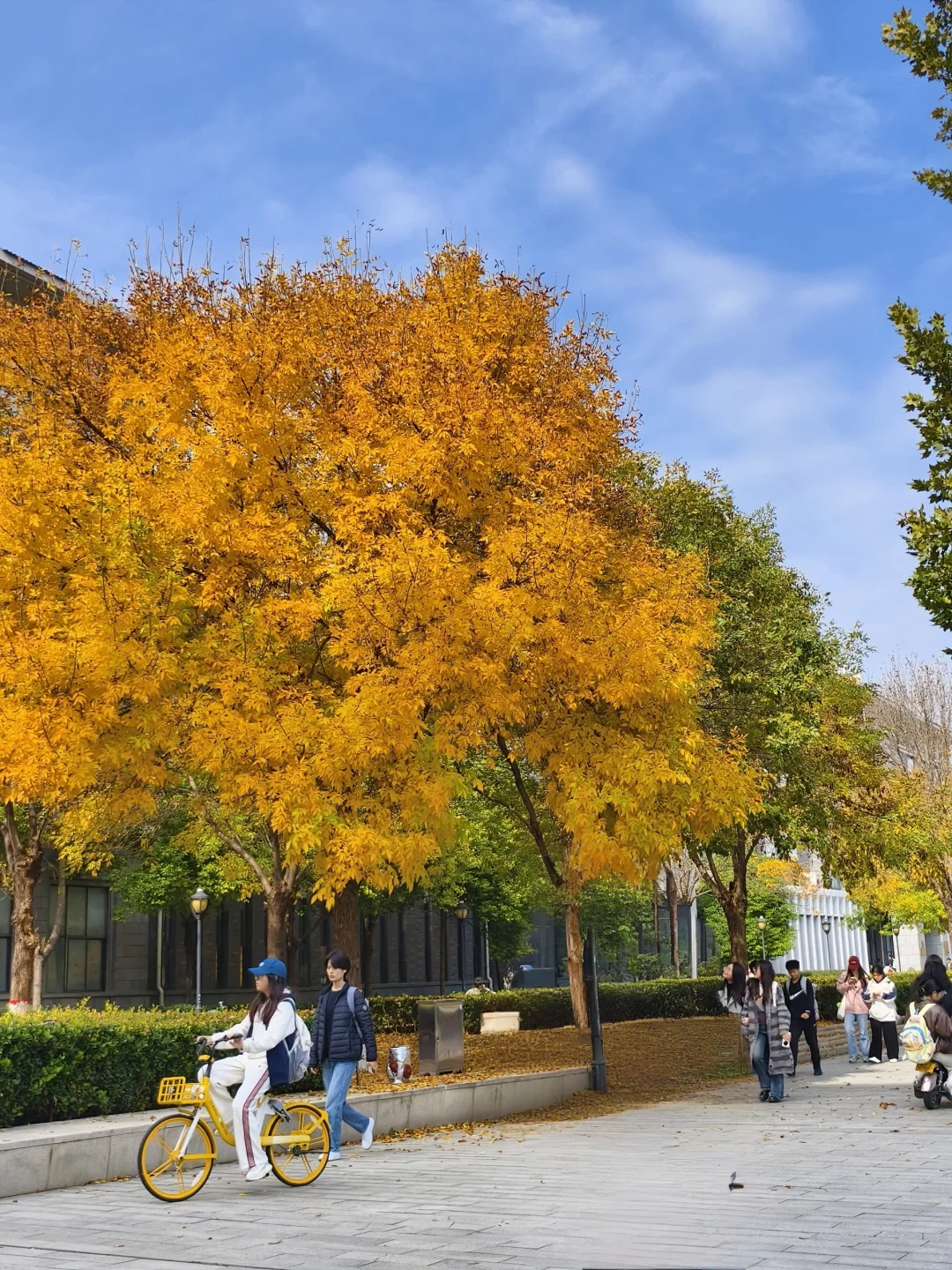 洛师各个学院咨询电话