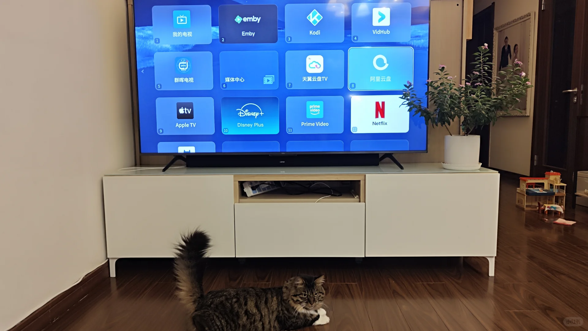 TCL 65Q9K 应用软件