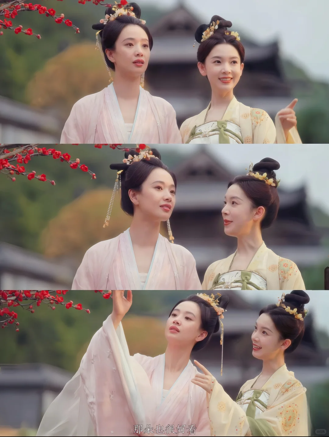 一集入魂‼️央视同款顶级下饭综艺🍚🌟