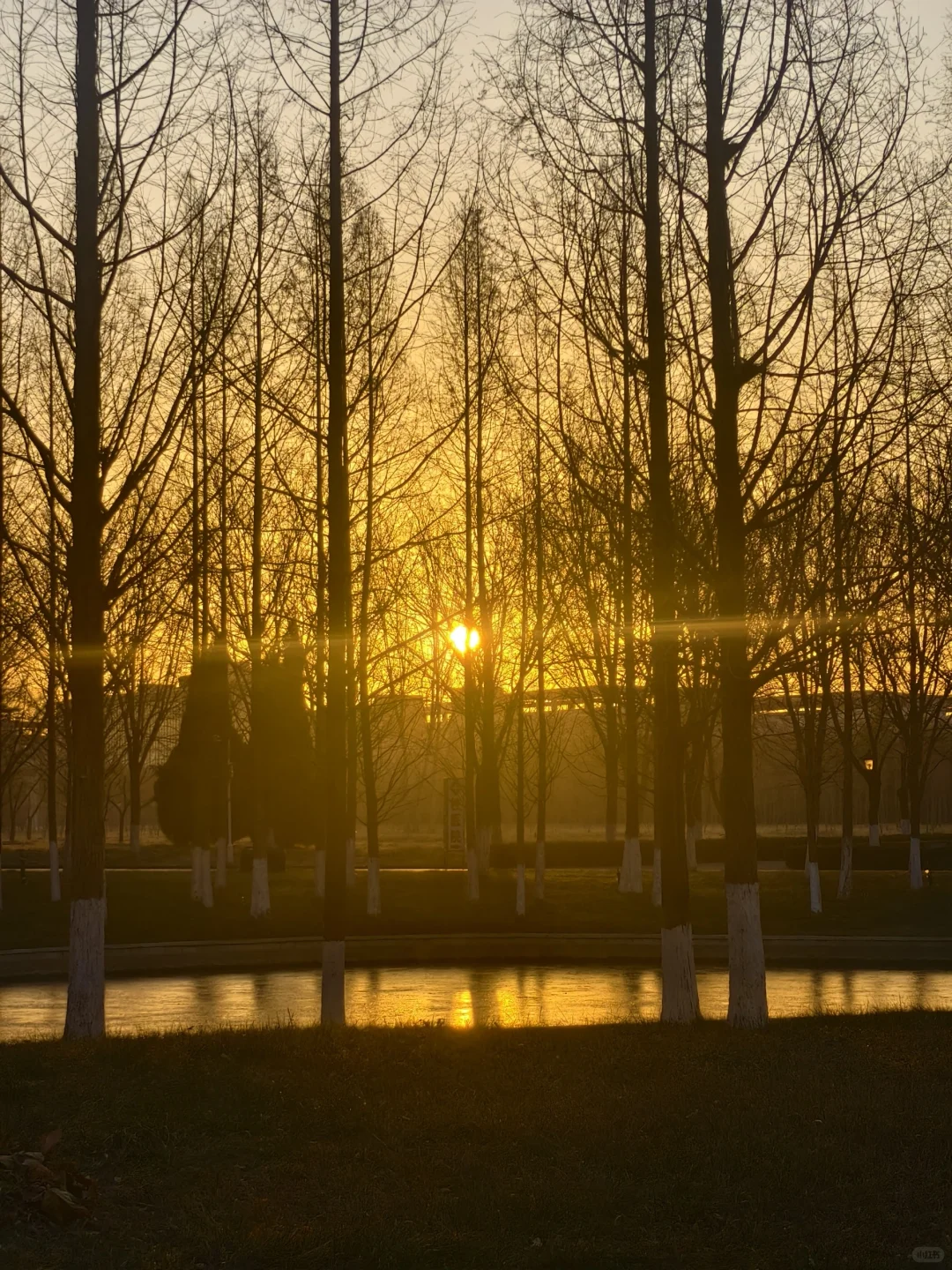 洛师各个学院咨询电话