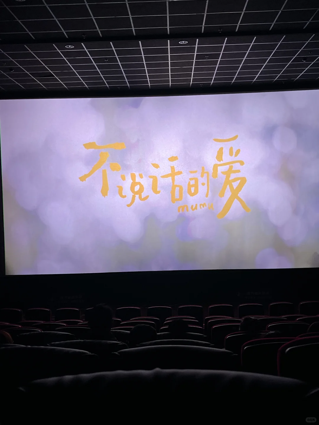 不说话的爱有多治愈细腻🥹