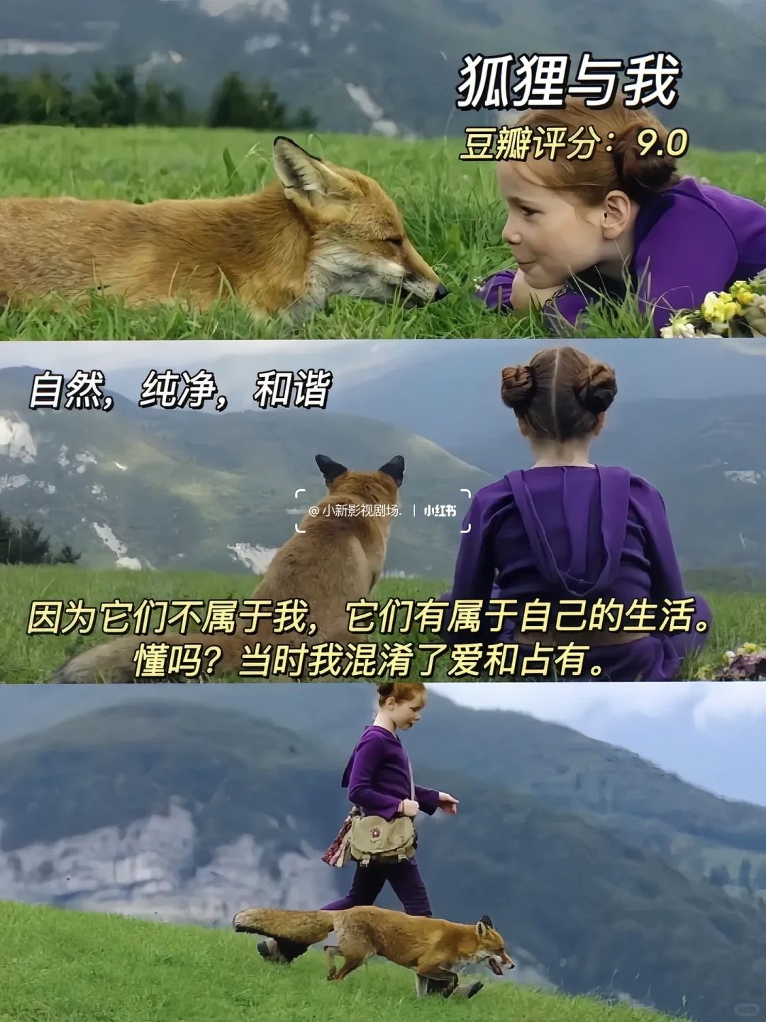 精神内耗自救！10部治愈神片清单✨