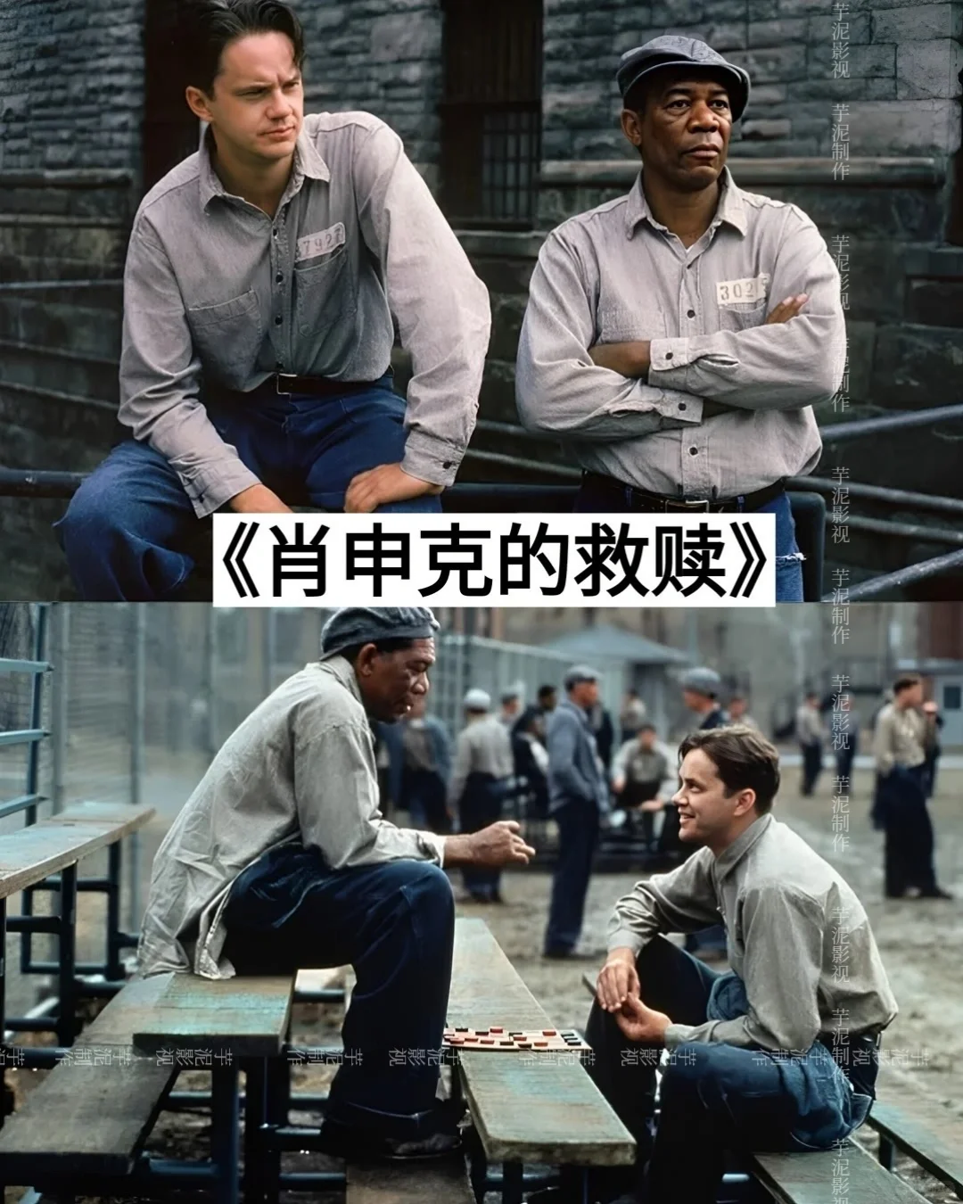 码住‼️人生必看的电影🆘真的绝了‼️