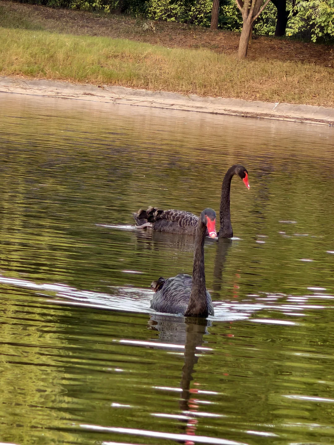 洛师各个学院咨询电话