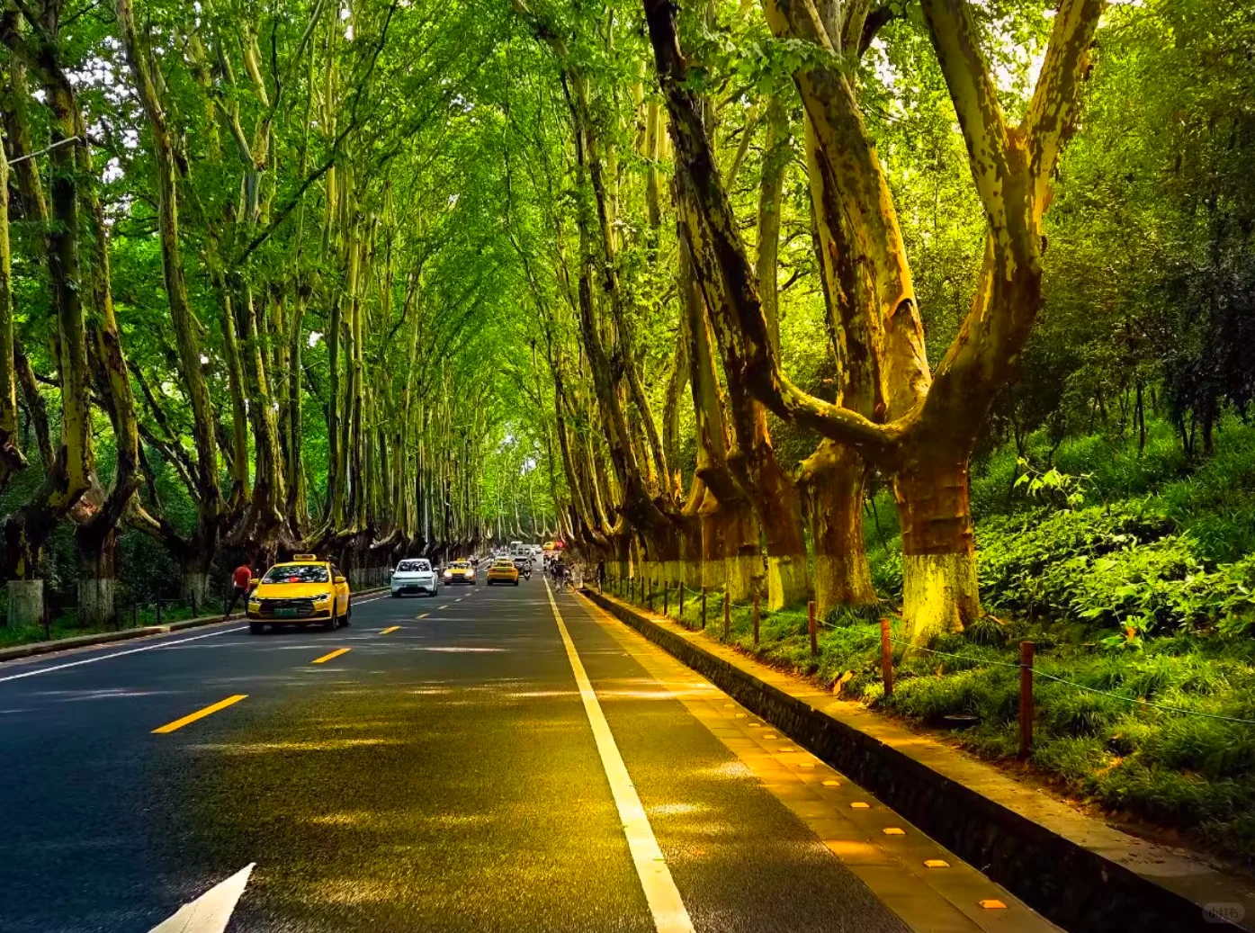 📱Lr 永久版！安卓电脑可用送千款预设