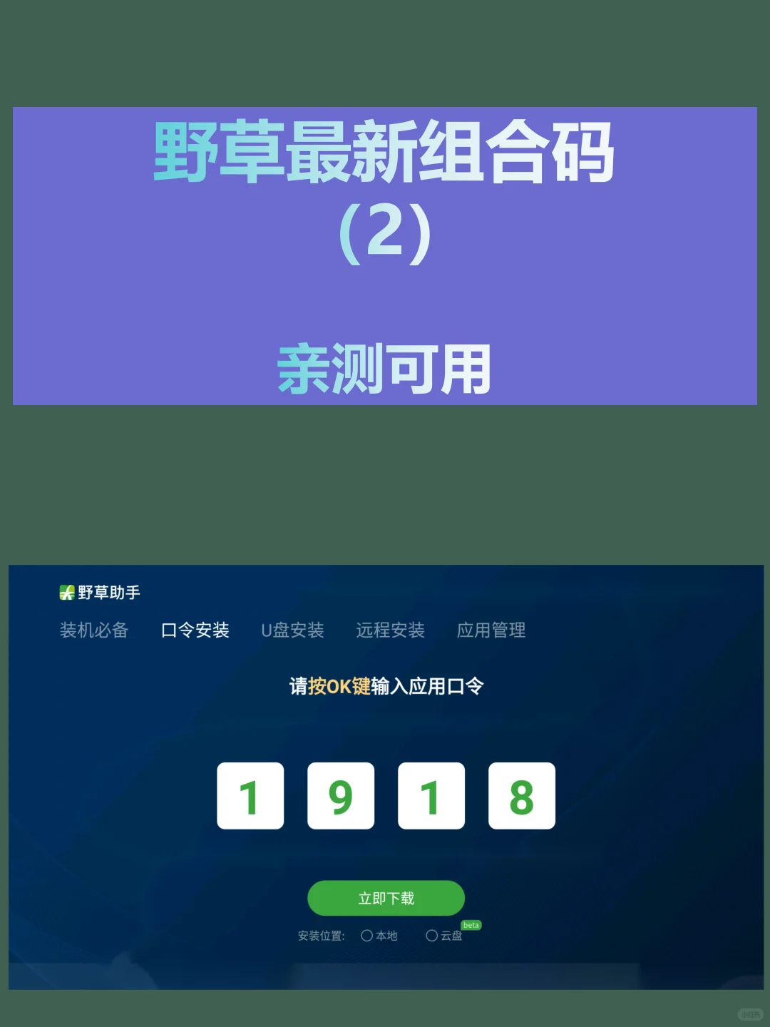 今日野草助手最新口令分享！