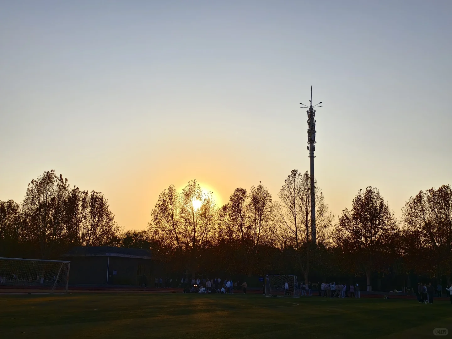 洛师各个学院咨询电话