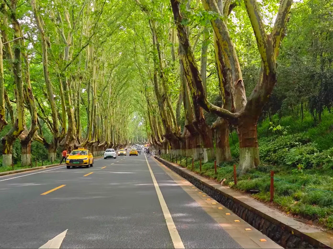 📱Lr 永久版！安卓电脑可用送千款预设