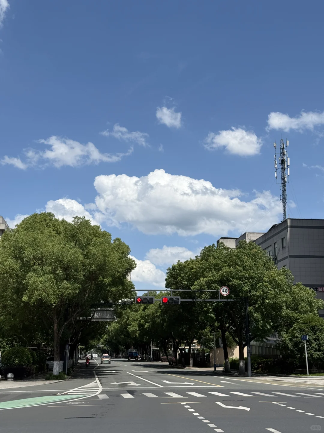 造价咨询菜鸟入职 如何快速适应👷