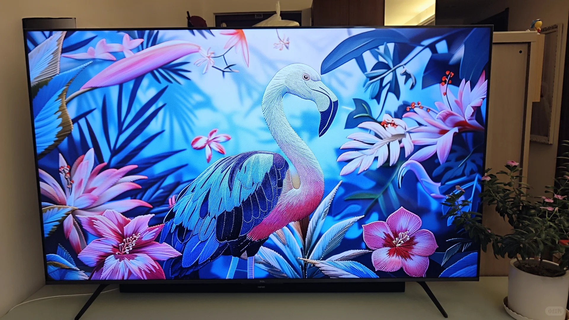 TCL 65Q9K 应用软件