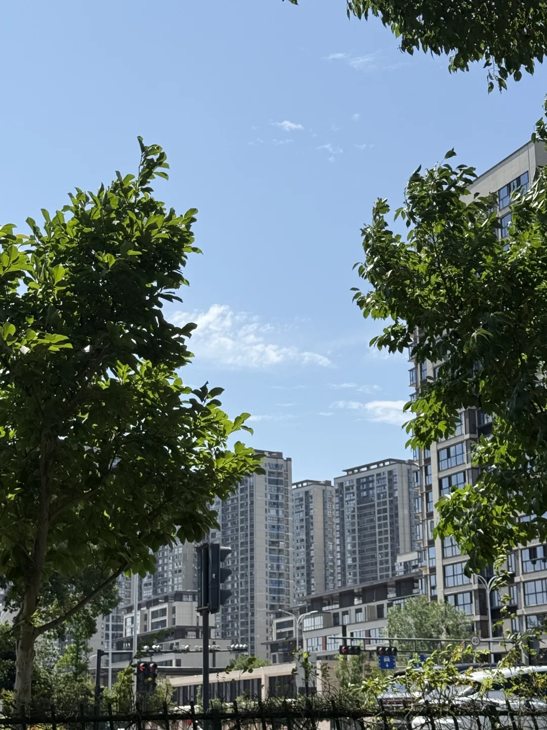 造价咨询菜鸟入职 如何快速适应👷