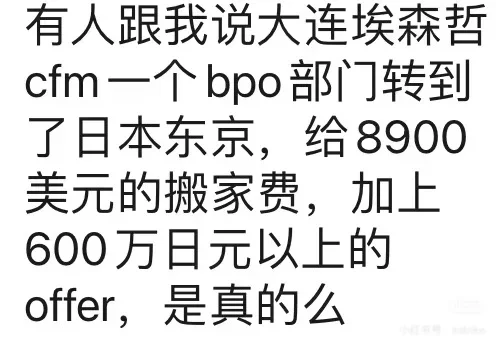 大连软件行业新瓜